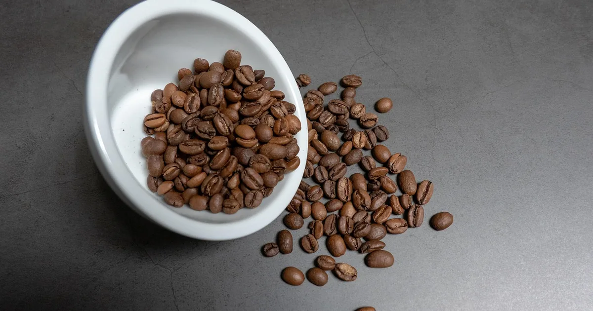 Est-ce que le grain de café vaut le coup ? Revue de magasinage honnête + 2026 Codes