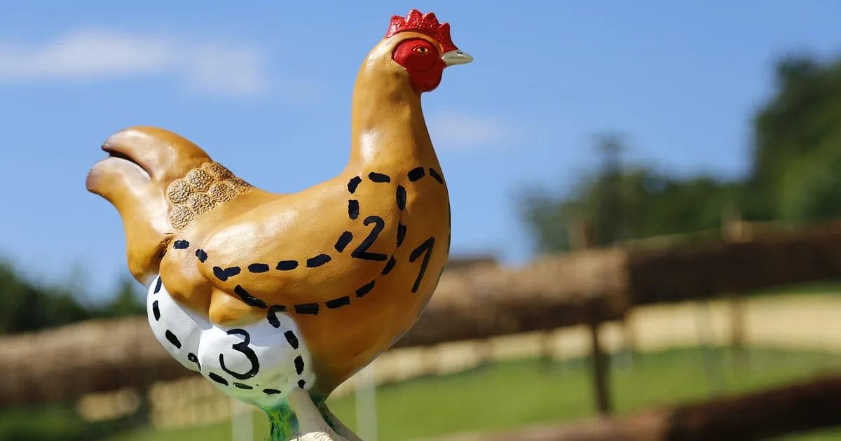 10 Perdue Farms Shopping Hacks Frugale Käufer schwören auf