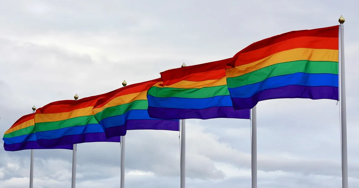 Was Sie wissen sollten, bevor Sie Queer im World Shop einkaufen (2026)